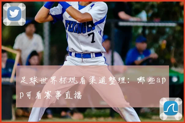 足球世界杯观看渠道整理:哪些app可看赛事直播
